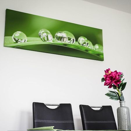 Appartement Miraka à Lipno nad Vltavou Extérieur photo
