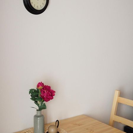 Appartement Miraka à Lipno nad Vltavou Extérieur photo