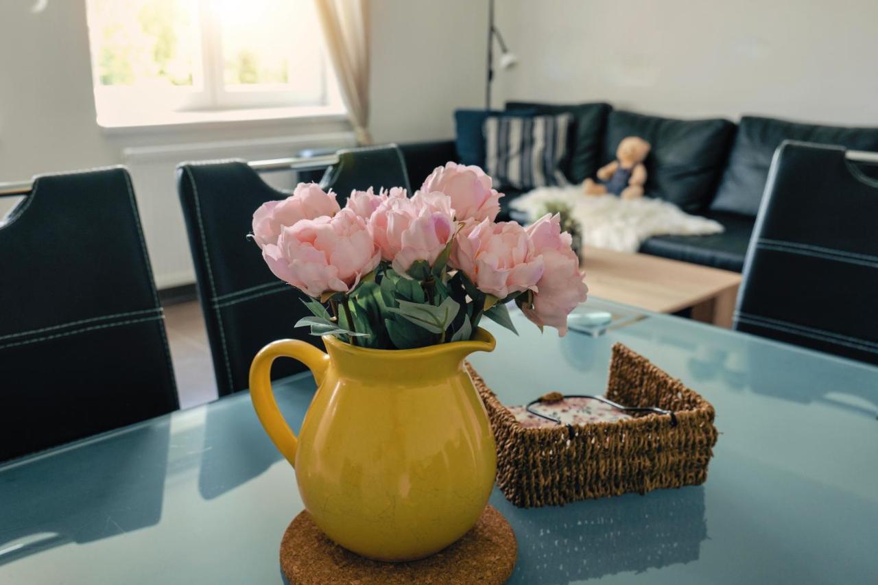 Appartement Miraka à Lipno nad Vltavou Extérieur photo