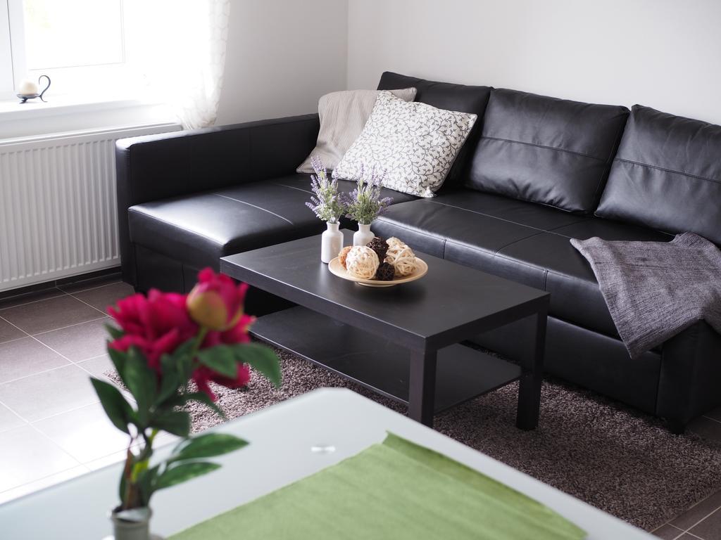 Appartement Miraka à Lipno nad Vltavou Extérieur photo