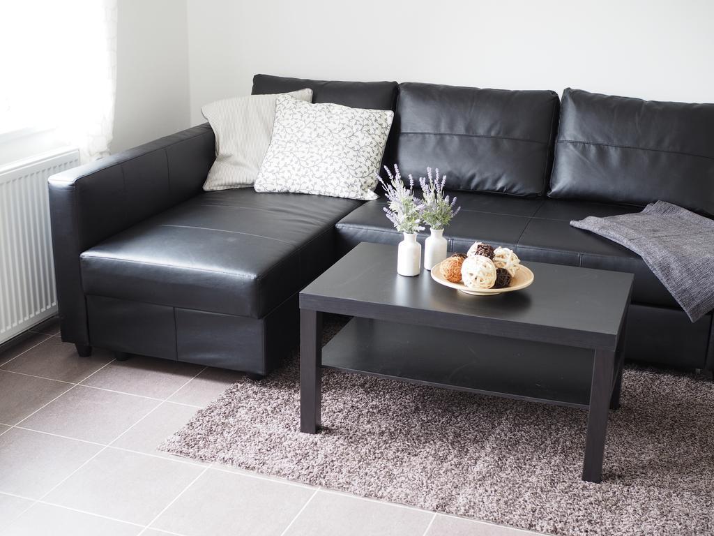 Appartement Miraka à Lipno nad Vltavou Extérieur photo