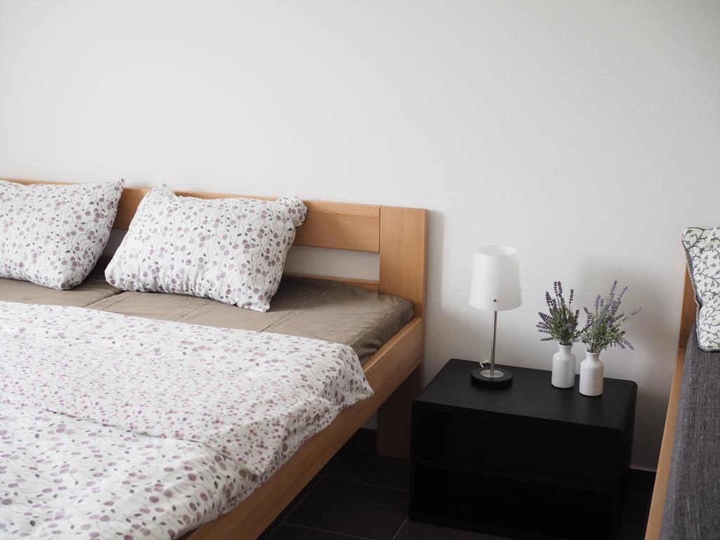 Appartement Miraka à Lipno nad Vltavou Extérieur photo