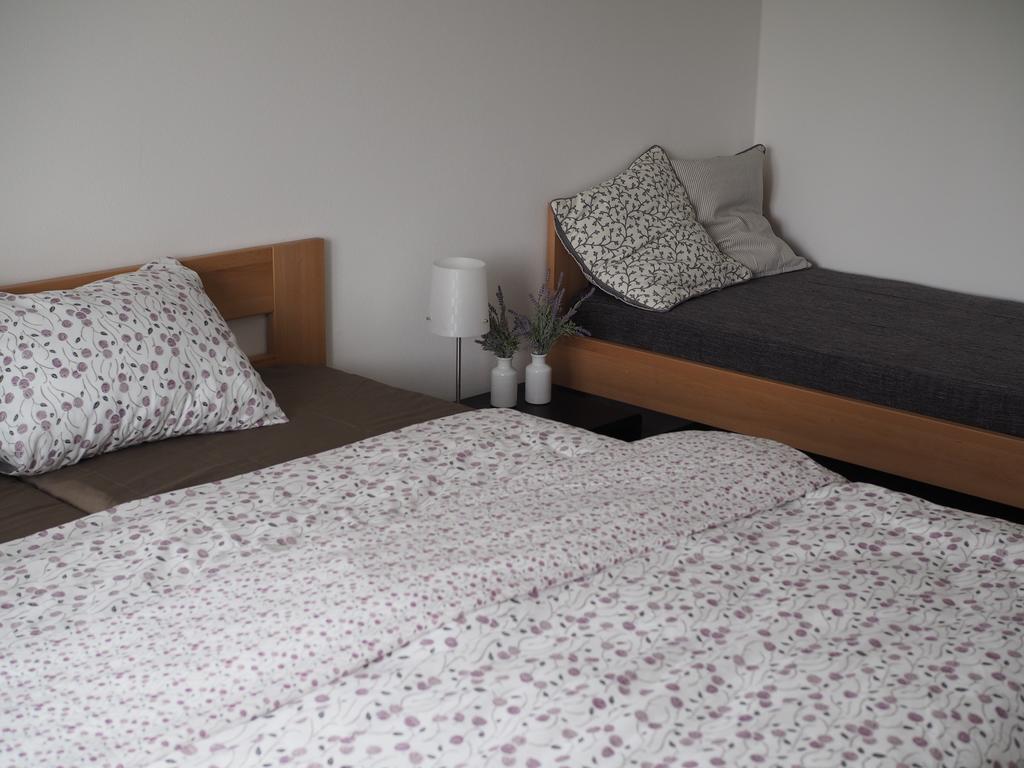 Appartement Miraka à Lipno nad Vltavou Extérieur photo