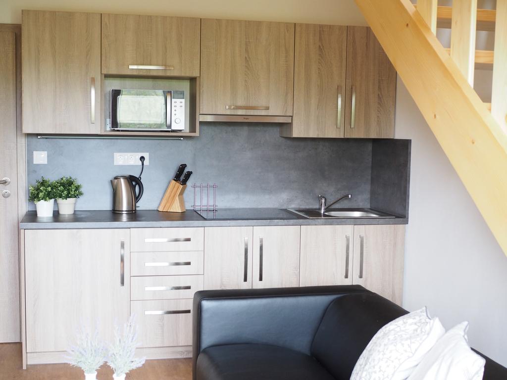 Appartement Miraka à Lipno nad Vltavou Extérieur photo